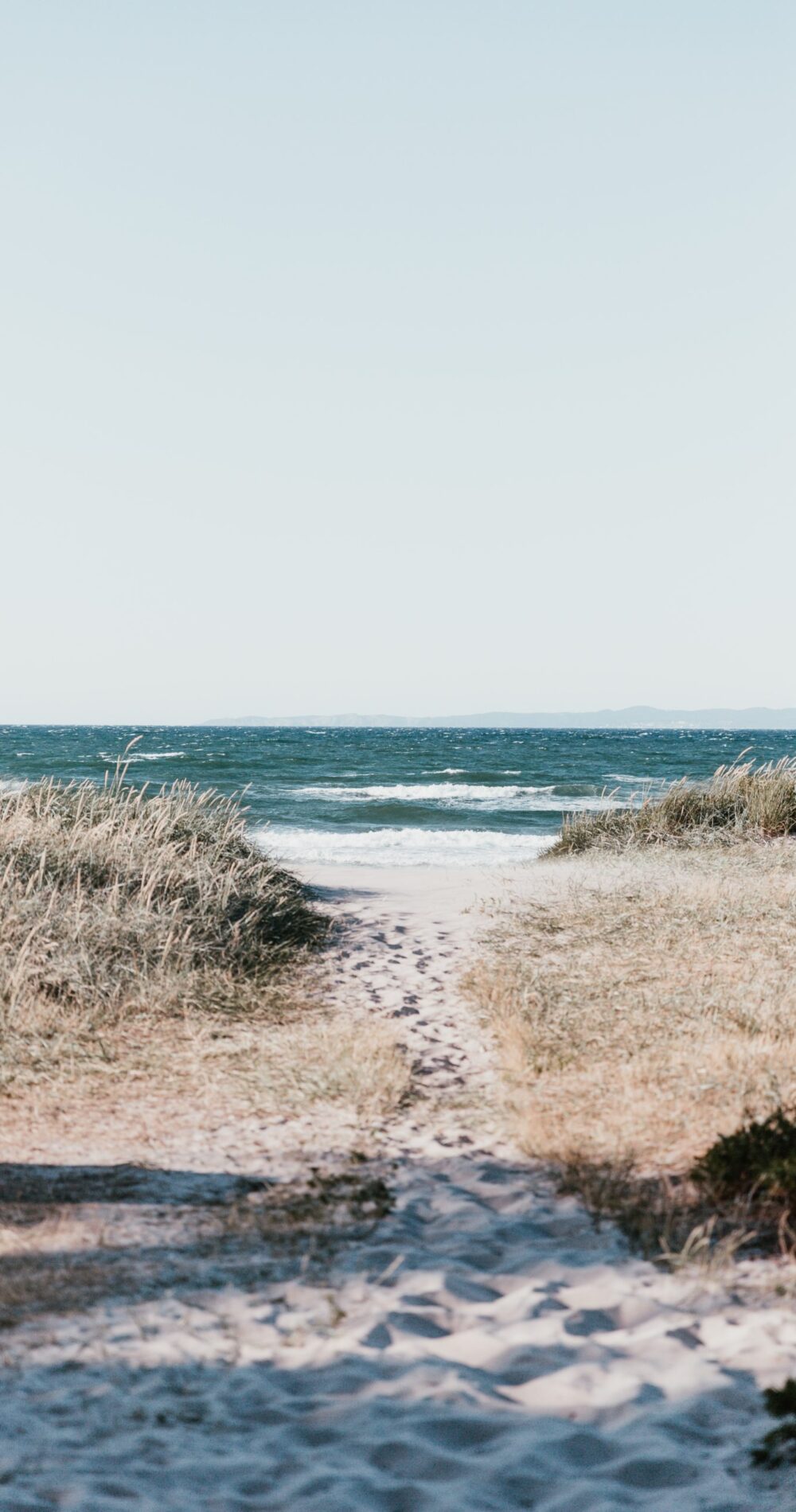 marten-bjork-iXed2ZaTobo-unsplash Olga klimenkova